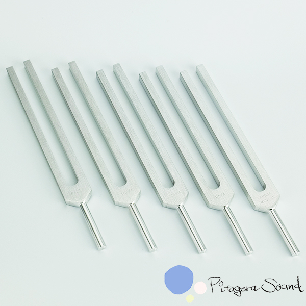 ブレインチューナー バイオソニックス 音叉 Biosonics tuning fork