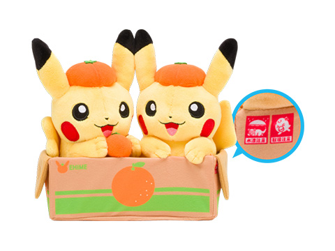 ピカチュウ、みかん箱に入る。ライチュウ＆ピチューと愛媛みかん