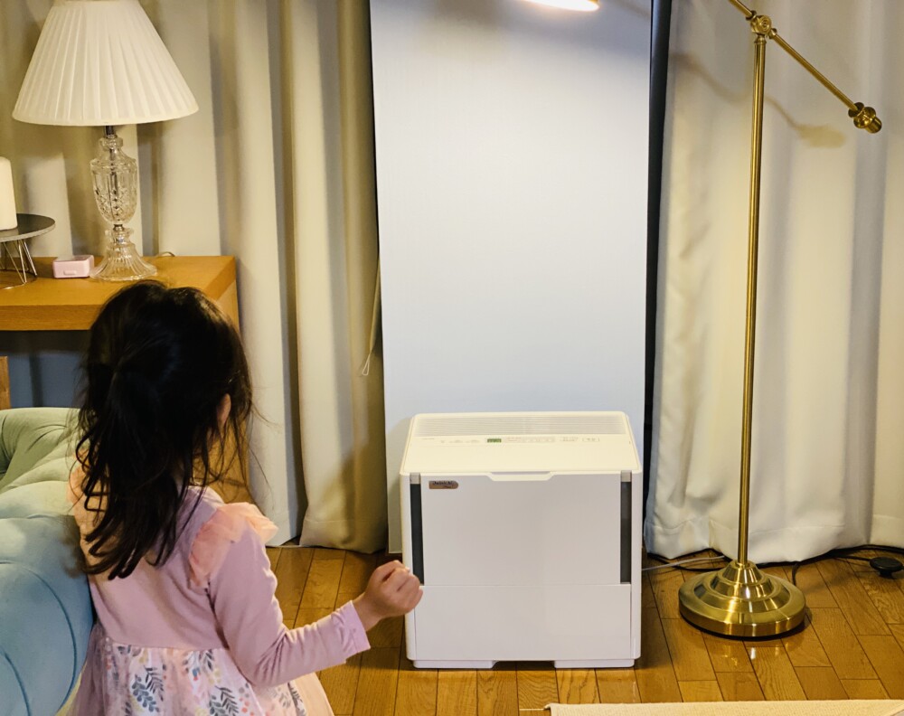 これで駄目なら諦める。ダイニチの加湿器HD-244W（洋室67畳用）を購入