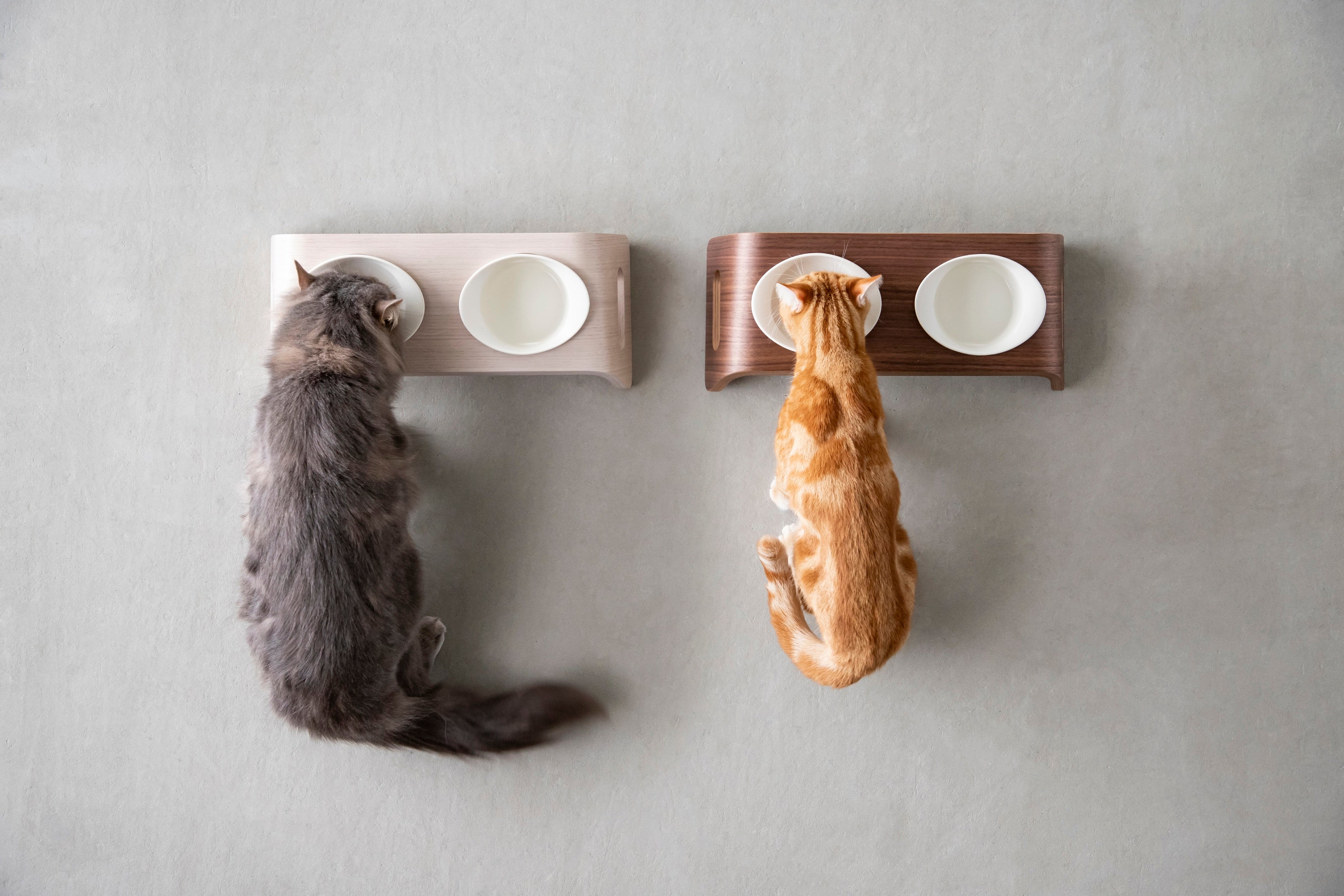 KANADEMONO別注カラー「KARIMOKU CAT TREE」を発売開始。ブラック