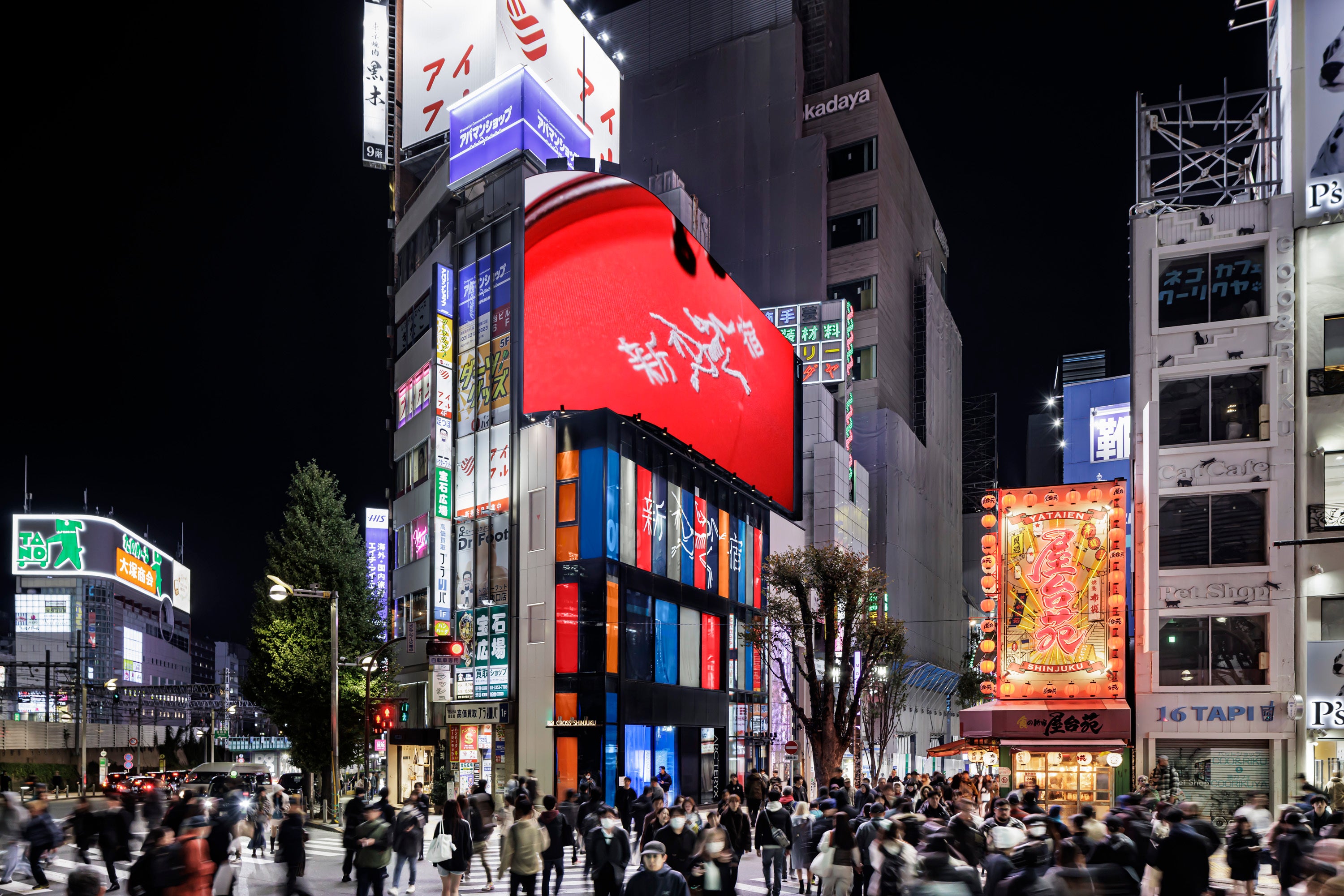 無数の人々が行き交う新宿の街で、まるで山々にいるかのような体験を
