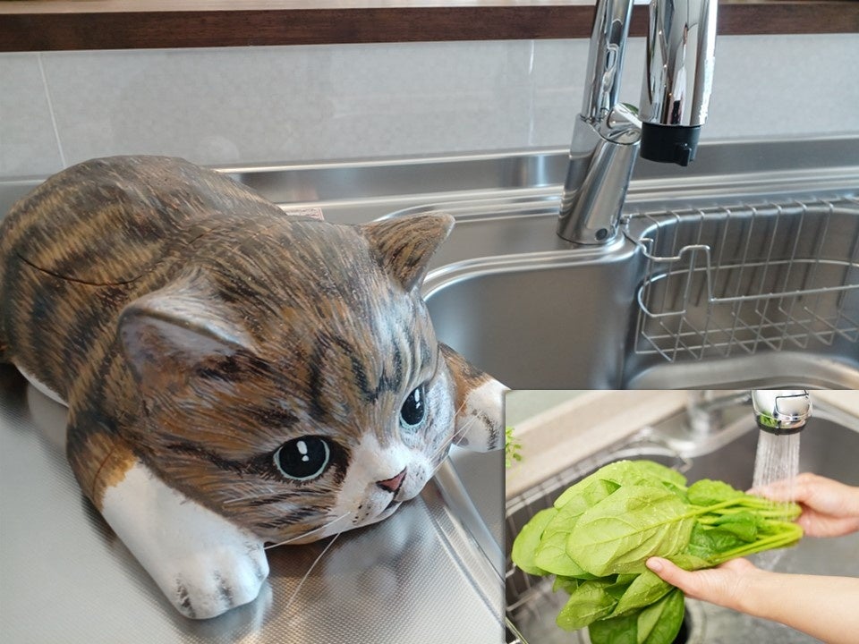 新商品】おえかきにゃんこの水耕栽培キット♪立体ぬり絵でオリジナル