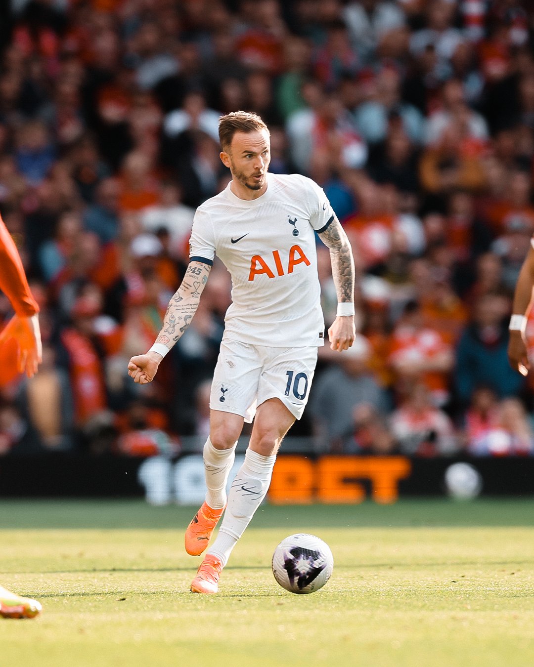 クラブ紹介】トッテナム・ホットスパーFC【イングランド：プレミア