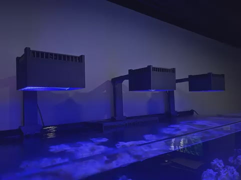 Red Sea ReefLED 160S LED Light Shade – Printed Reef