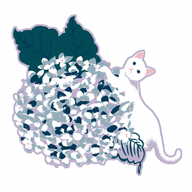 フェリシモ猫部』が基金つきオリジナル浴衣の予約受付を開始 | 株式