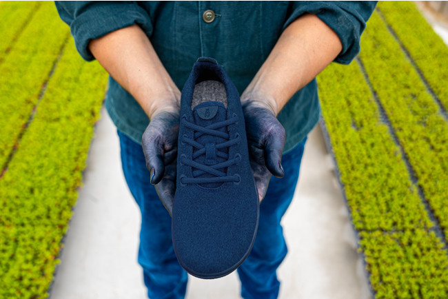 Allbirds」から天然藍を使った「Wool Runner – Watanabe's Japanese