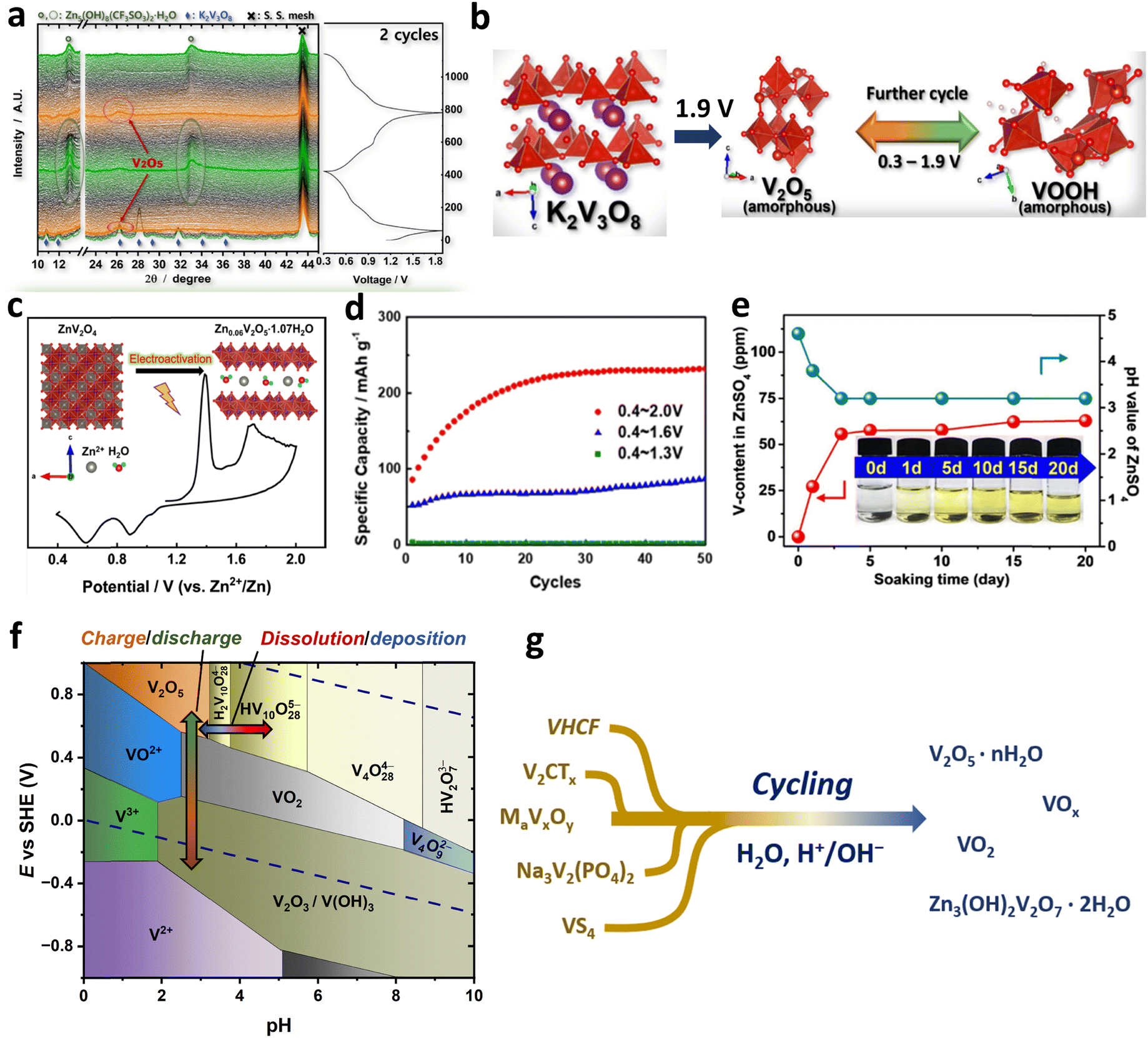 Gains and losses in zinc-ion batteries by proton- and water