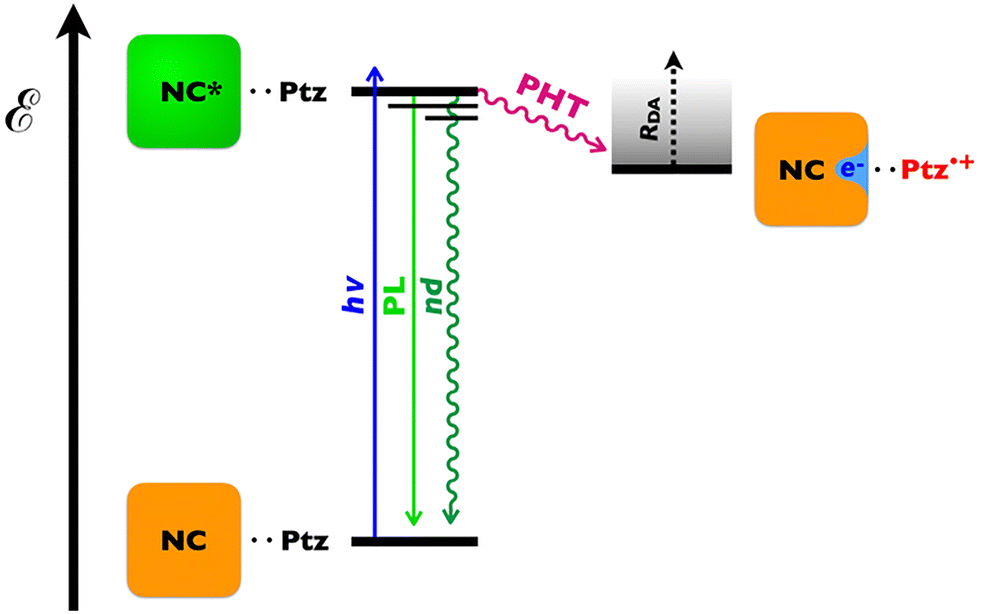 Dual benefits from “wiring” charge-transfer moieties to perovskite