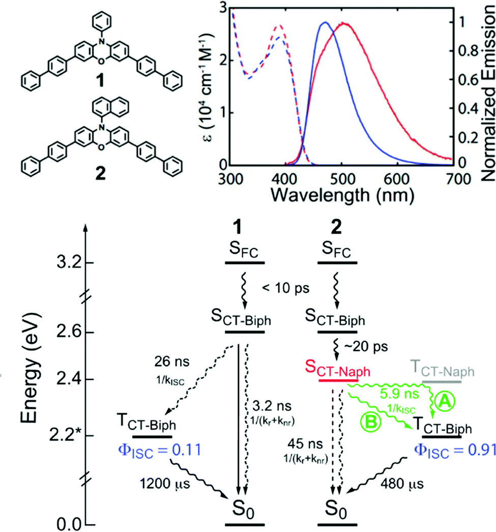 Dynamics of photoconversion processes: the energetic cost of