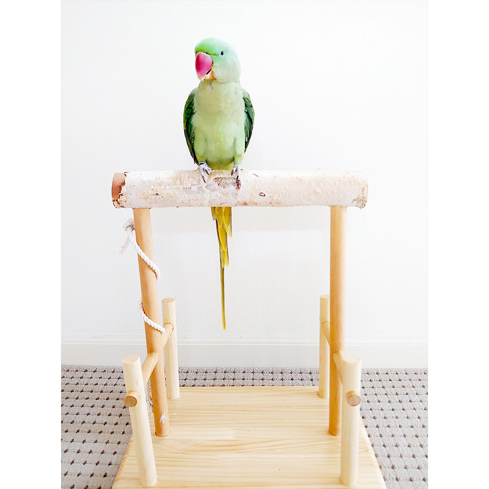 65bg 【足場あり版】大型インコ用 白樺止まり木スタンド 高さ40cm / 太