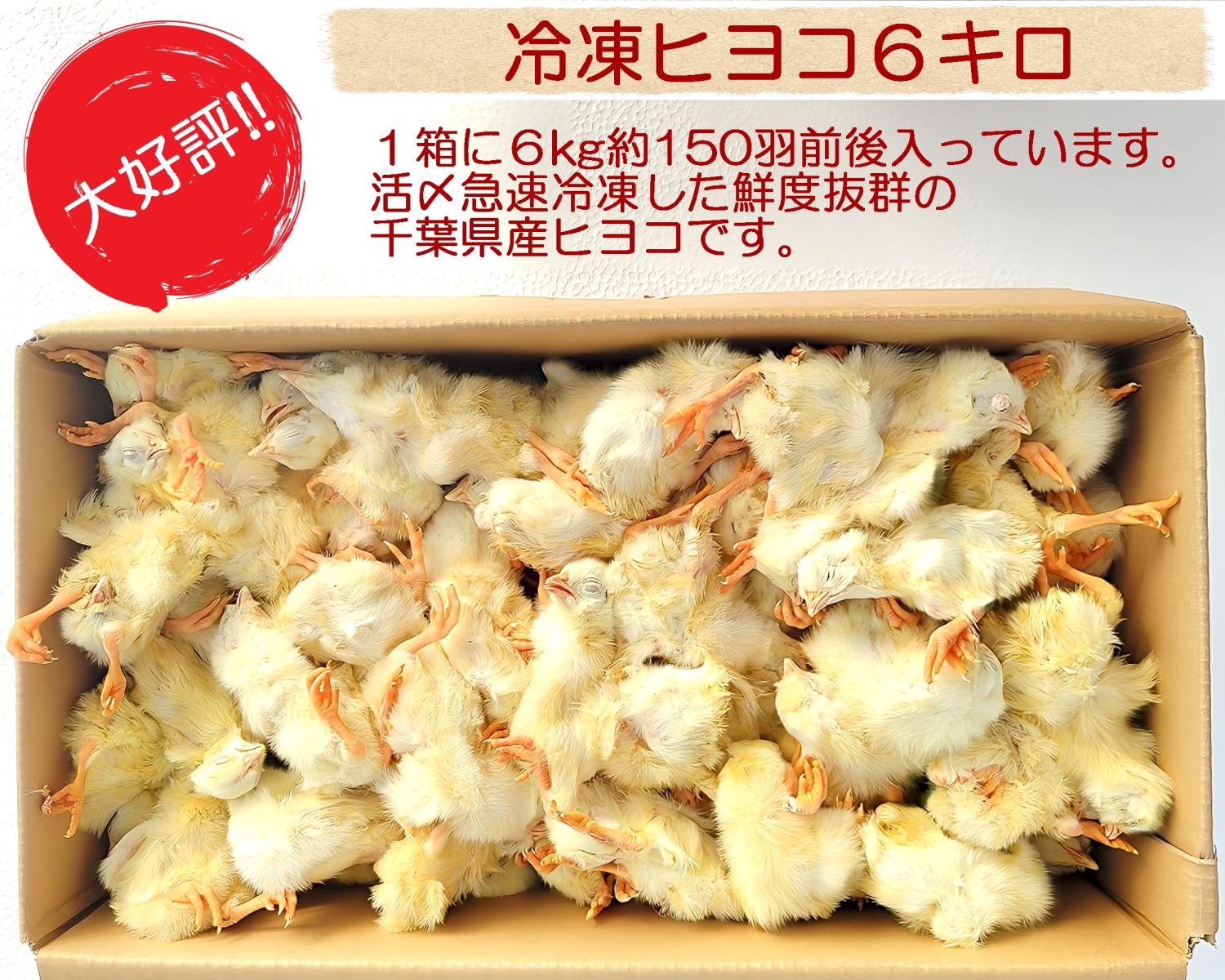 【リピート購入で＋10羽】 送料無料 国産 新鮮安全 冷凍ひよこ 600羽 リピート購入で＋10羽】 送料無料 国産 新鮮安全 冷凍ひよこ 600羽