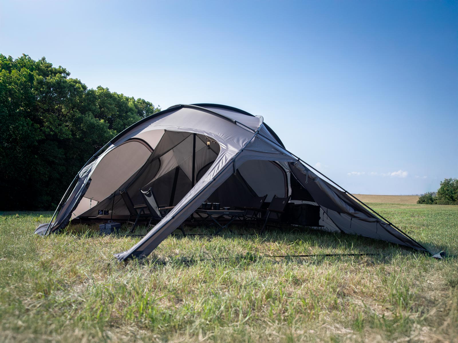 FELSEN -5th ANNIVERSARY LTD.-(フェルセン 5周年記念リミテッド