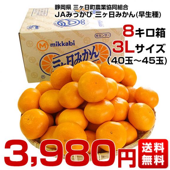 静岡県より産地直送 JAみっかび 三ケ日みかん (早生品種) 3Lサイズ 8