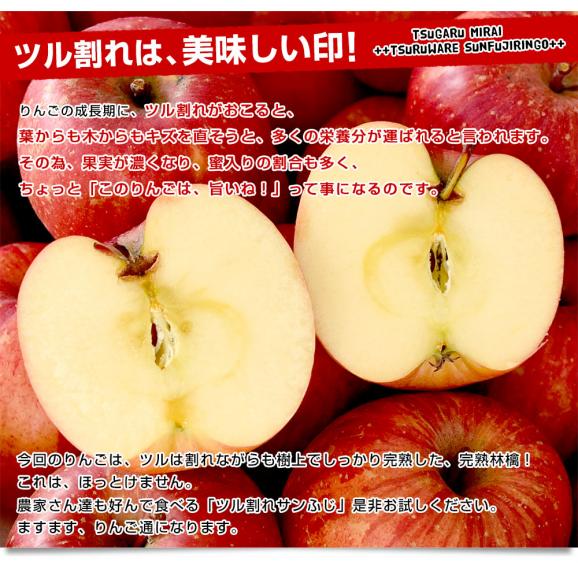 青森県産 JA津軽みらい ツル割れ・サンふじ 10キロ（32玉から50玉前後