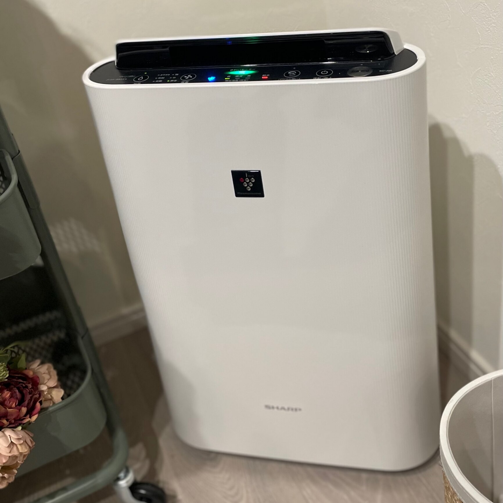 空気清浄機 加湿空気清浄機 シャープ KC-S50-W ホワイト系 プラズマ