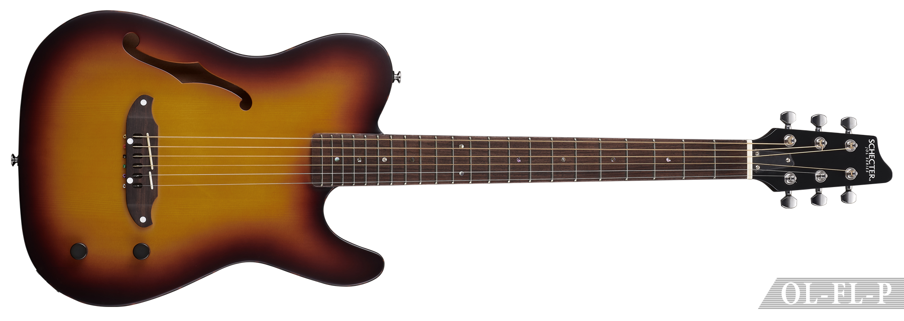 OL-FL-P | SCHECTER