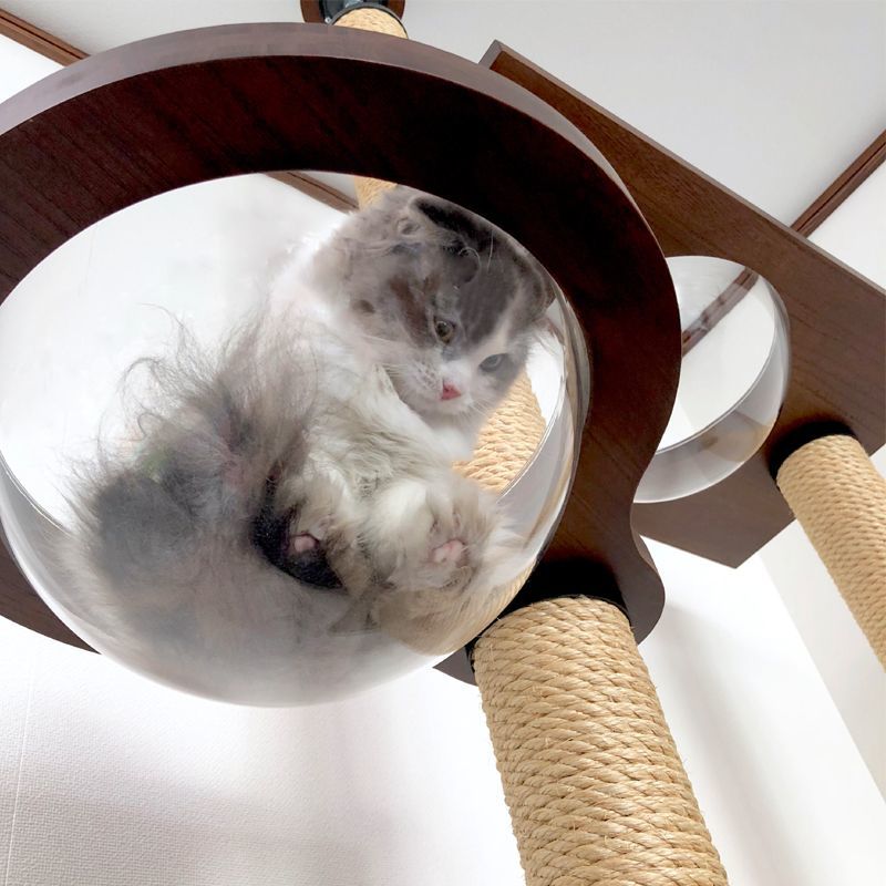 透明キャットタワー