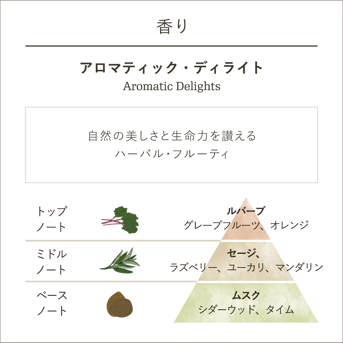 スクラブキット (アロマティック・ディライト)』 | SABON (サボン)