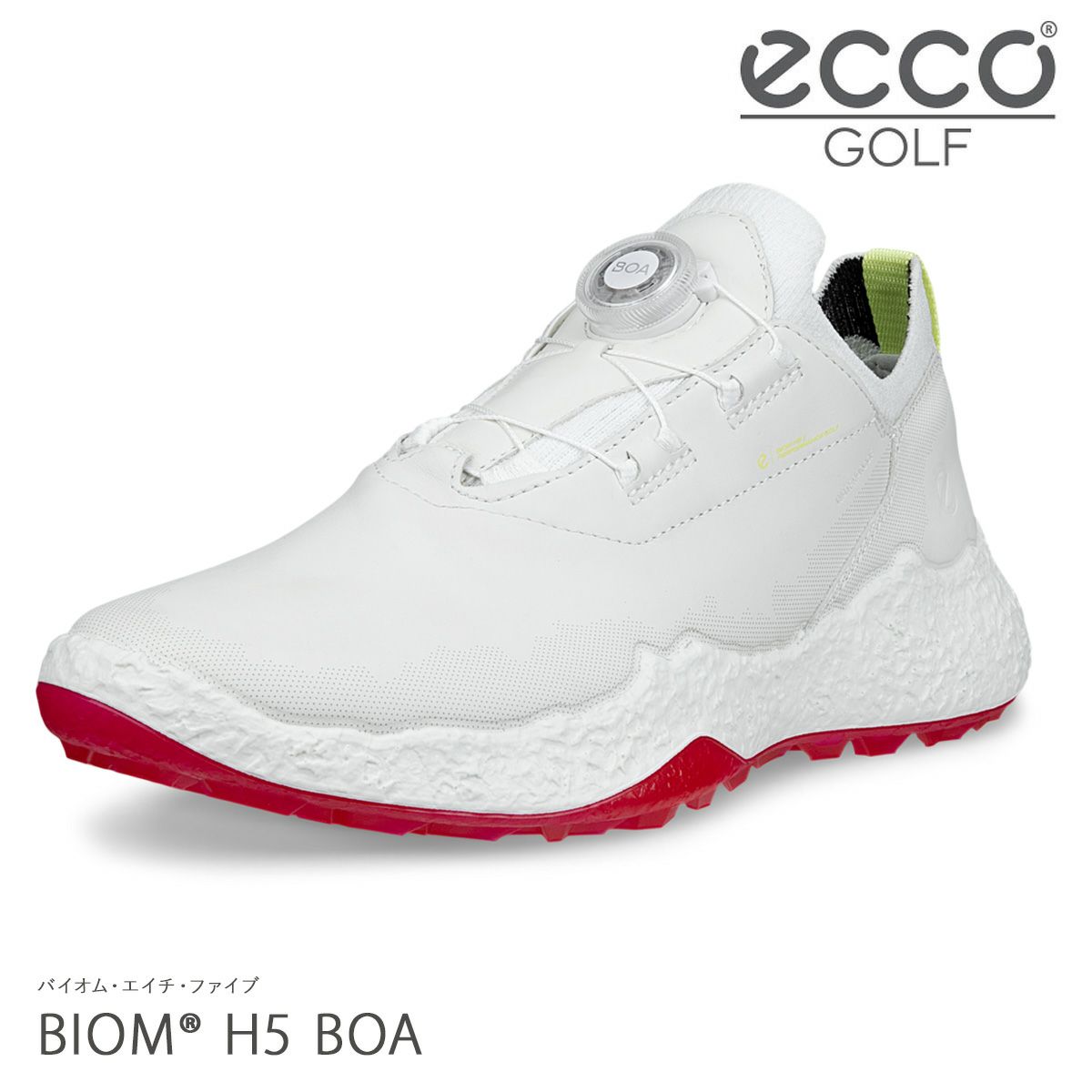 000000141818-01-l.jpg?t=