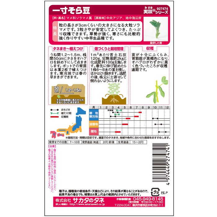 ソラマメ 一寸そらまめ｜種（タネ）,球根,苗,資材,ガーデニンググッズ