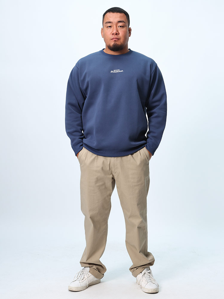 トレーナー バックロゴ刺繍 裏起毛 クルーネック トップス プル