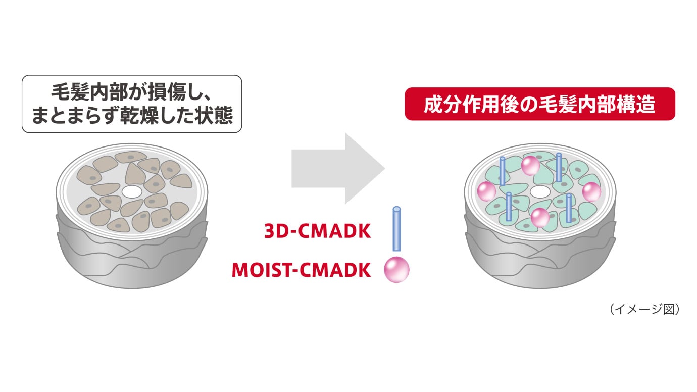オージュア アルティール シャンプー 250mL(250mL オージュア アル