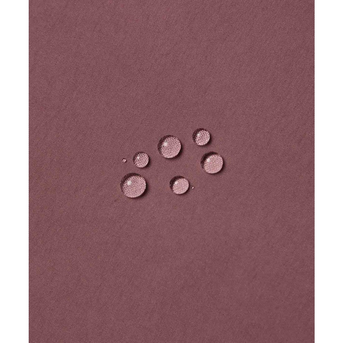 デサント オルテライン DESCENTE ALLTERRAIN 【81】ゴアテックスシェル