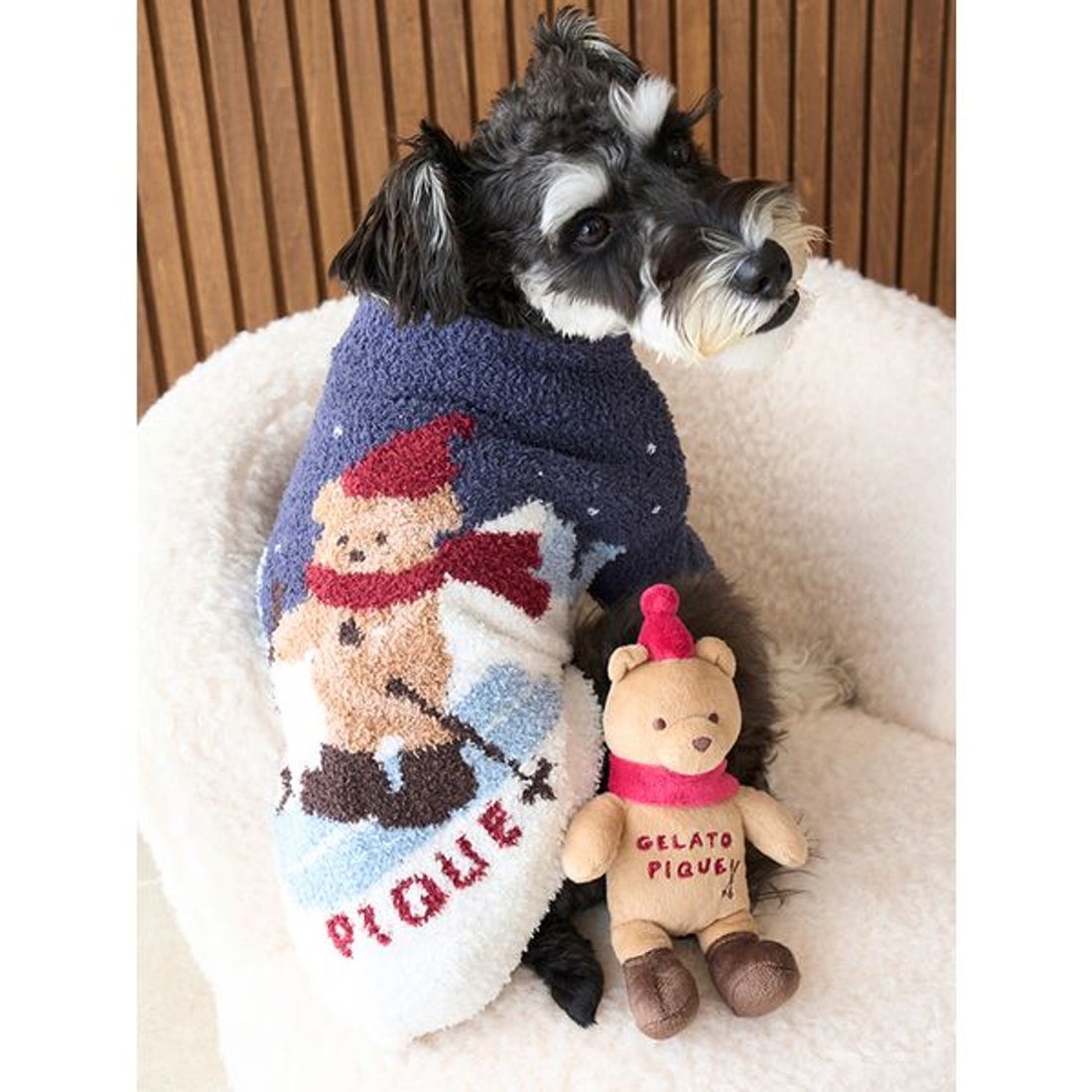 ジェラートピケ gelato pique 【HOLIDAY】【CAT&DOG】スキーベア