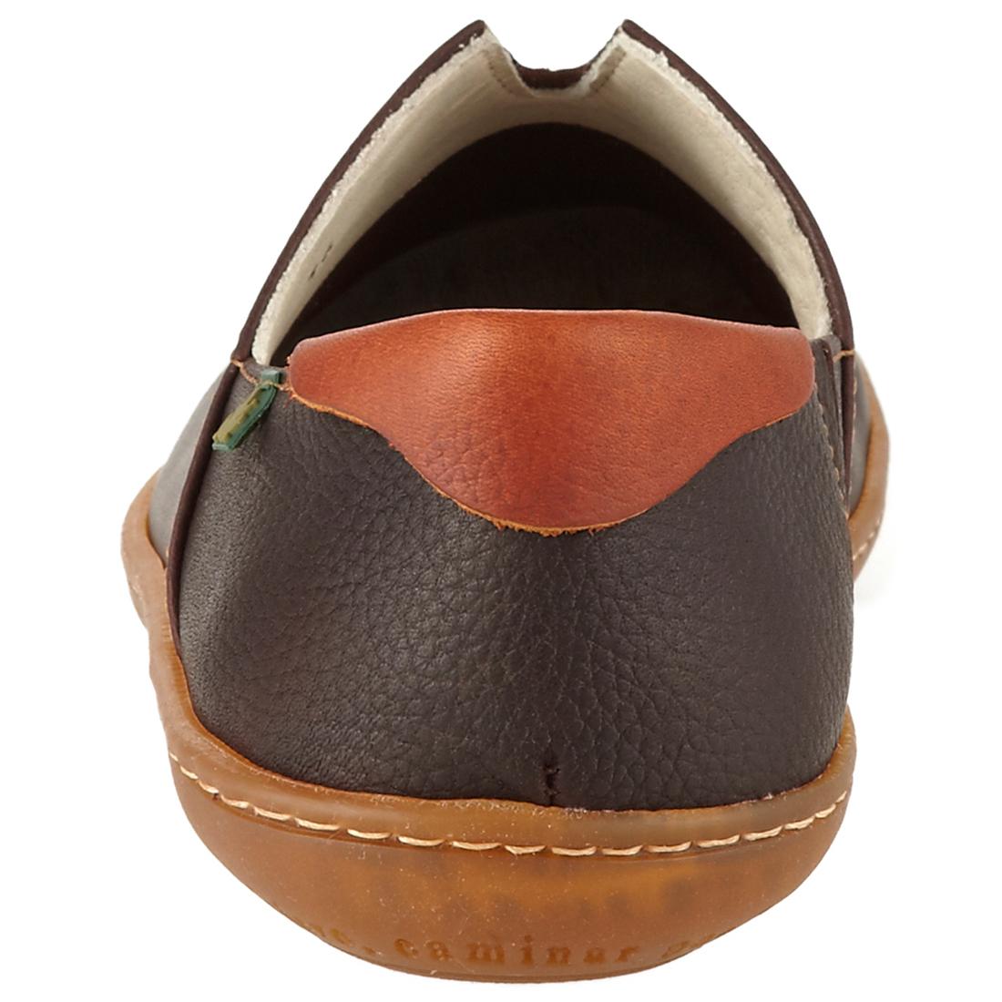 エル ナチュラリスタ エルビアジェロ / EL NATURALISTA EL VIAJERO