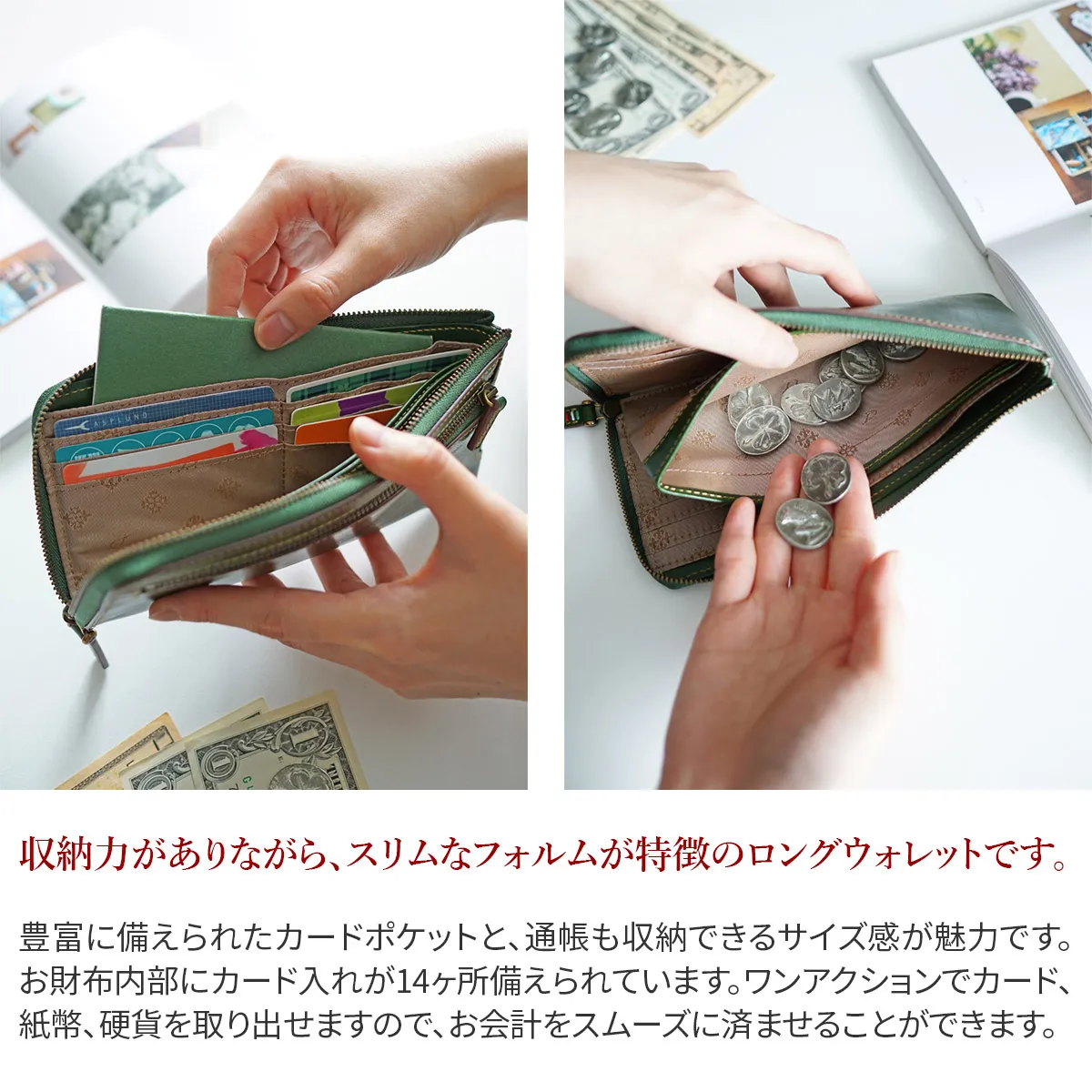 Dakota ダコタ トリコローレ 小銭入れ付き長財布（L字ファスナー式