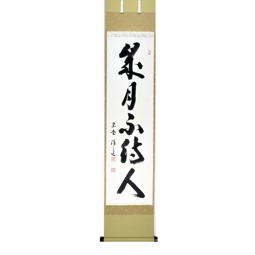 000000009543-01-xl.jpg?t=