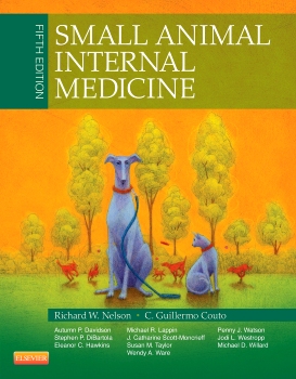 Small Animal Internal Medicine - 5th Edition | Elsevier Shop
