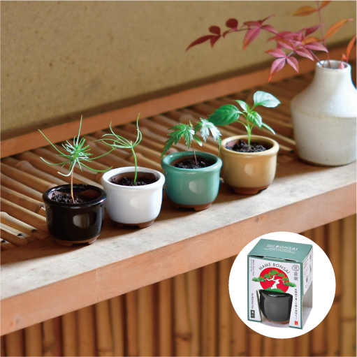 gd965_web_2_thumbnail_510px_53