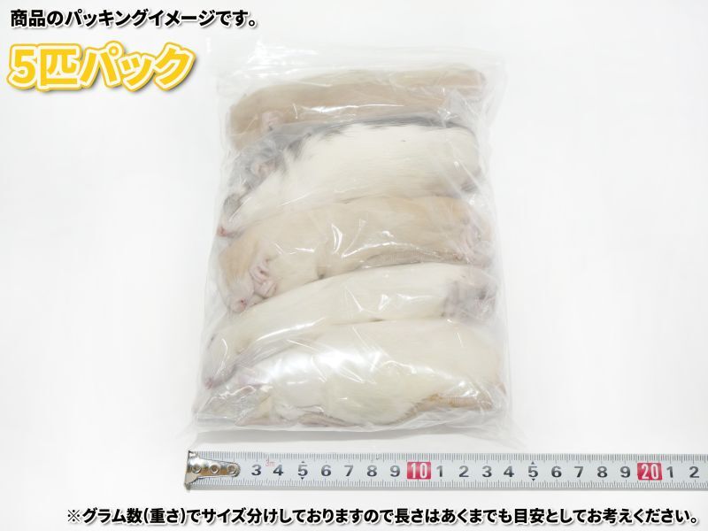 国産 冷凍ラット100~110g 5匹セット