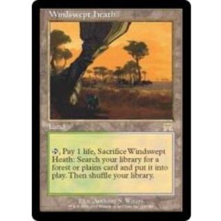 吹きさらしの荒野」の激安通販 | magi