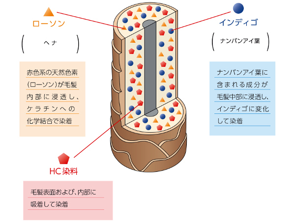 香草カラー色葉 | 神戸 美容室 VERY VERY