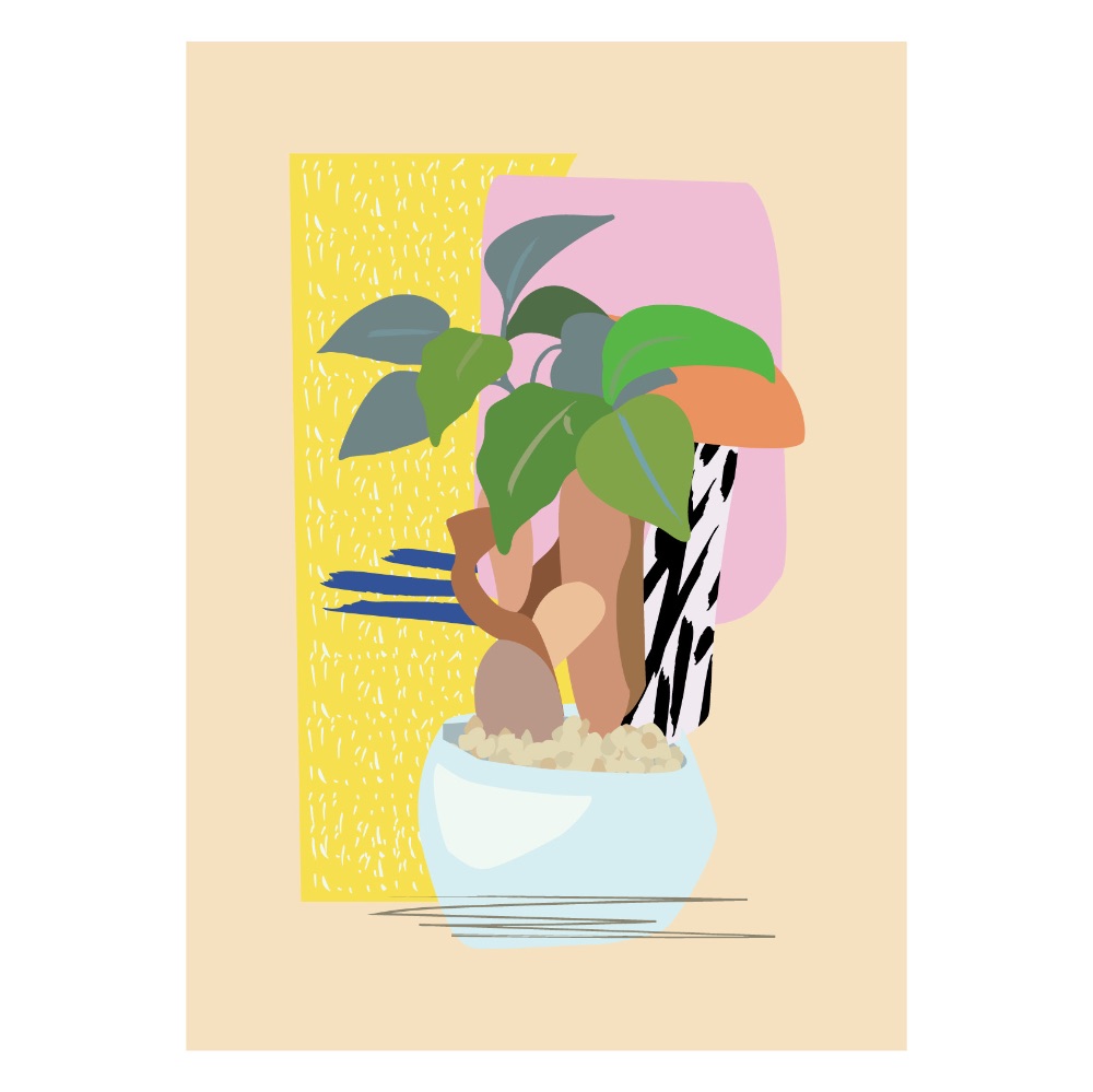 ガジュマル | See Em Why K シーエムワイケー