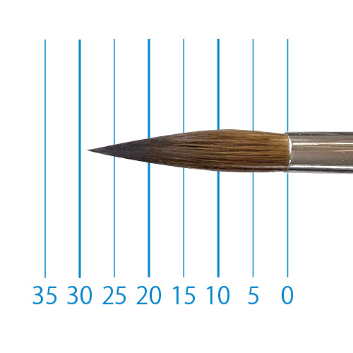 sku_2042319855245_1.jpg?1714616526