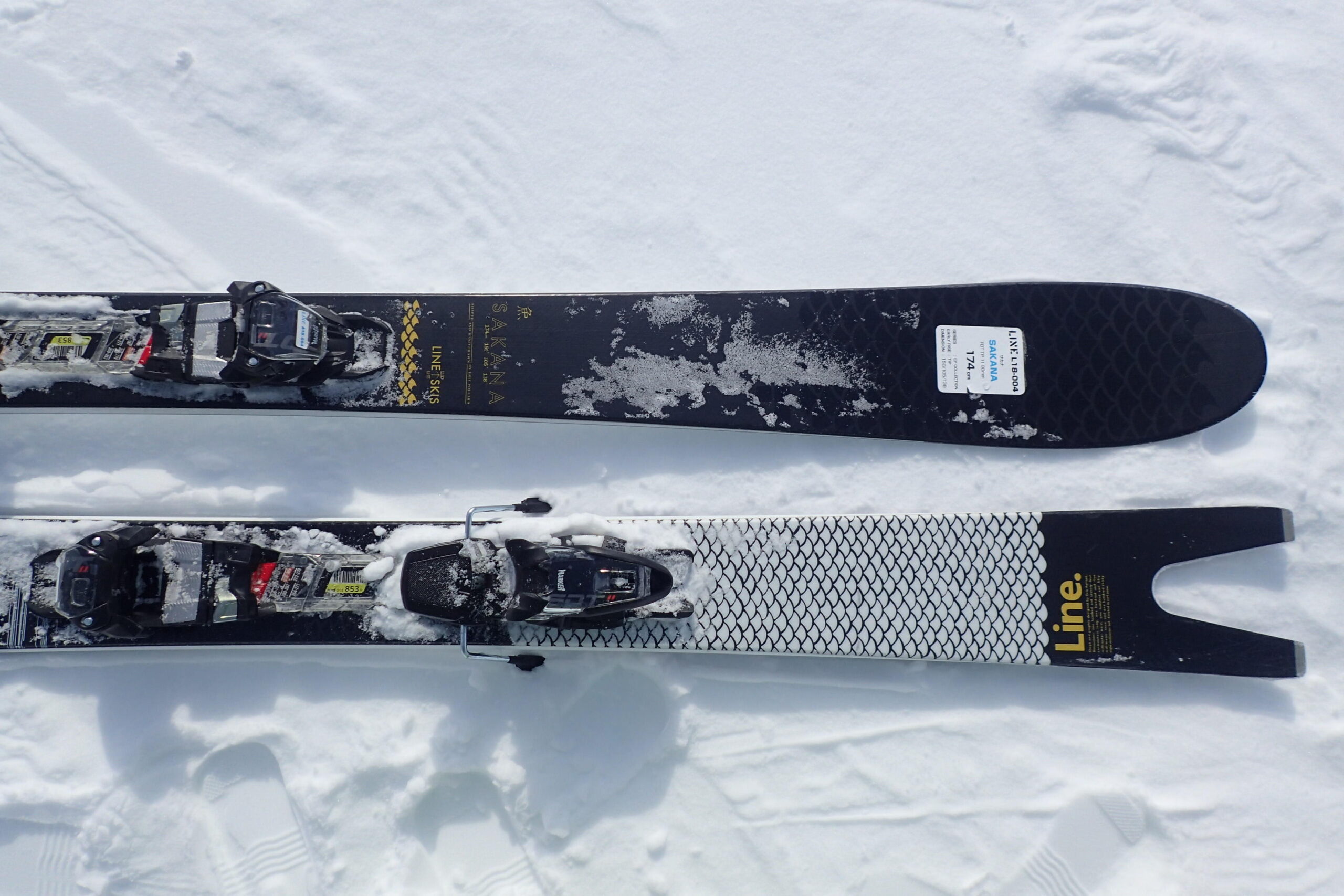 LINE フランシス ベーコン 184cm テレマーク BD O1 LINE フランシス