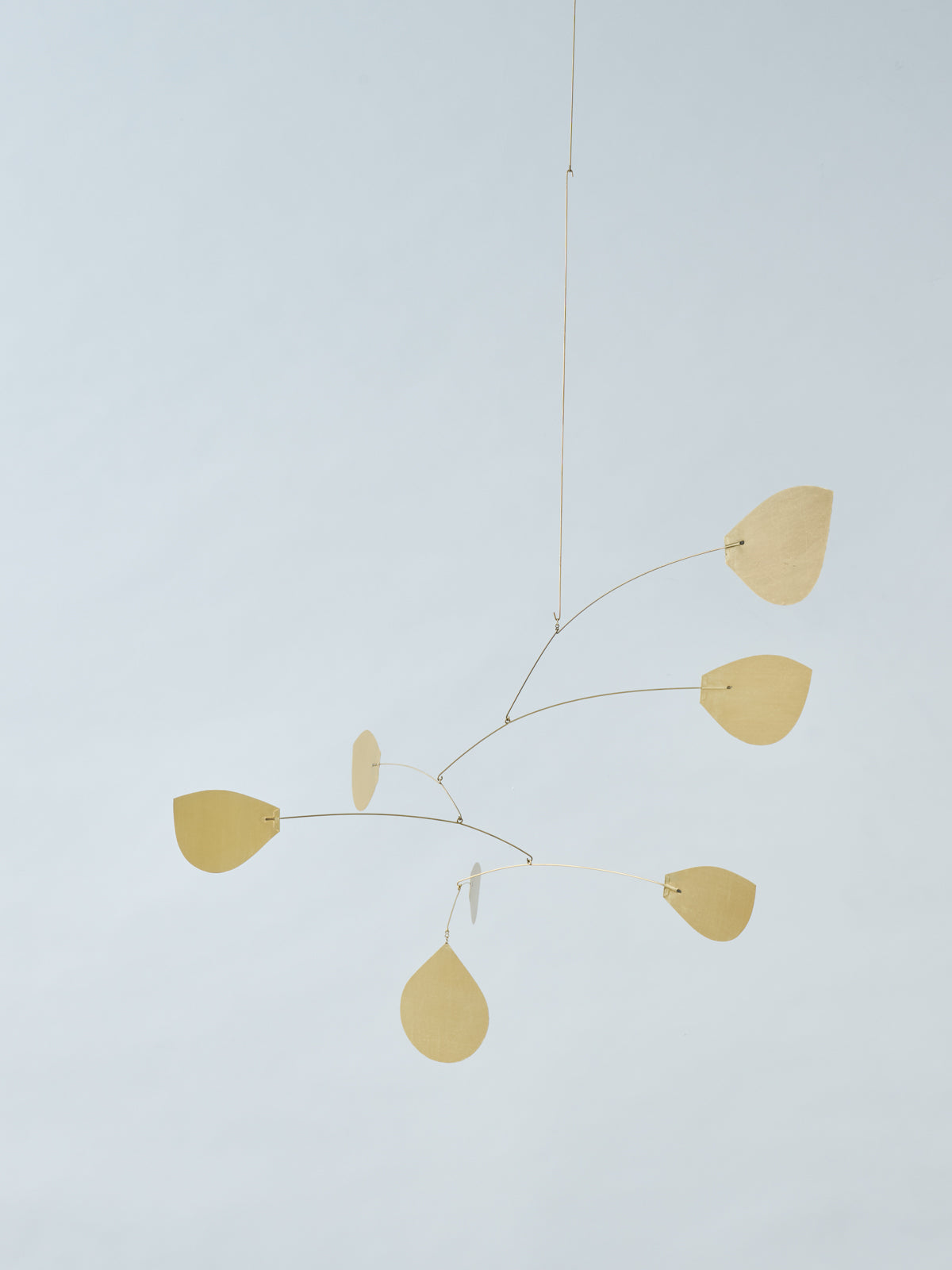 250139nc_0394_1200x.jpg?v=