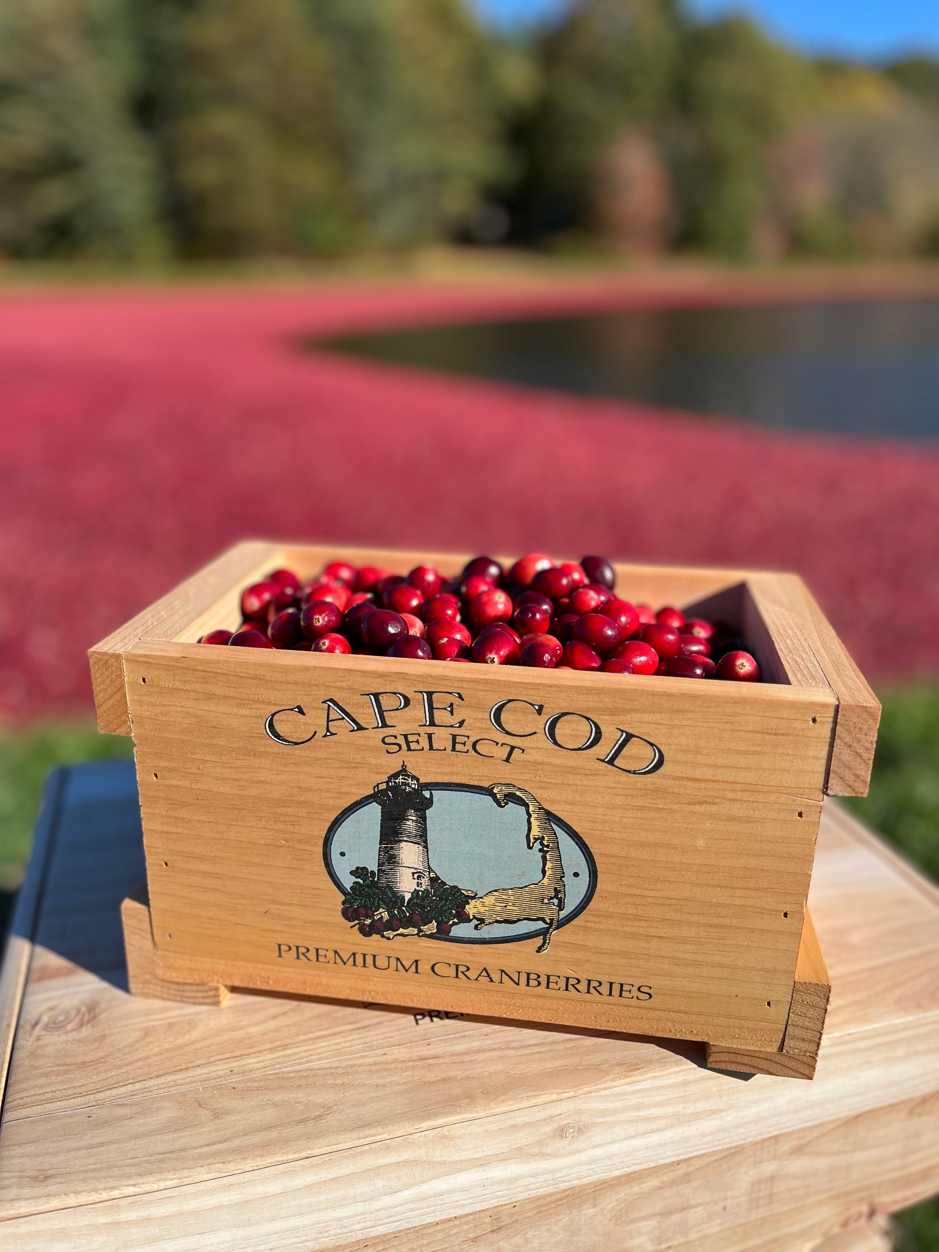 Wooden Keepsake Box with Fresh Cranberries | Cape Cod Select