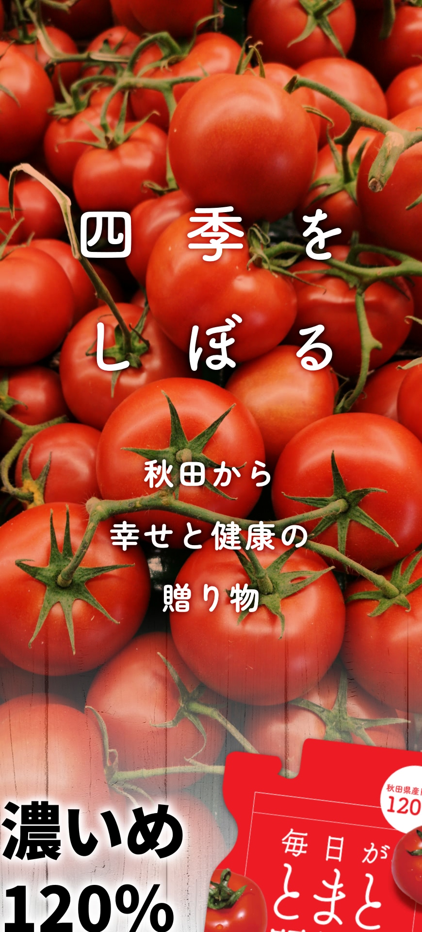 濃縮トマトジュース【20個入】 | ダイセン創農 公式オンラインショップ