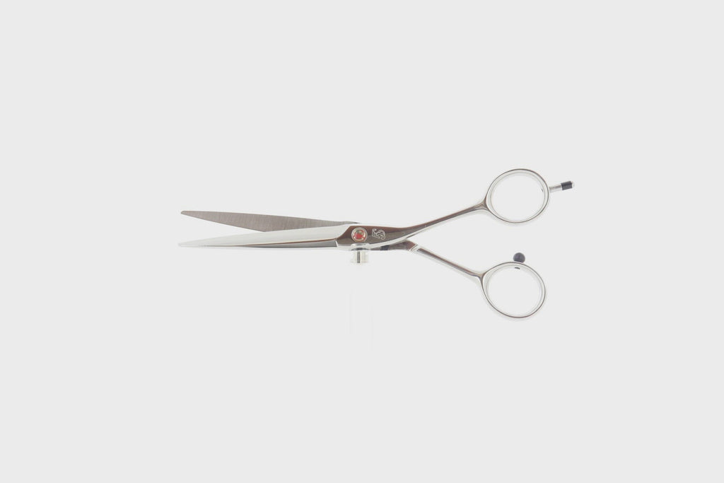 5S COSMOS – HIKARI Corporation