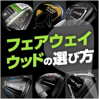 ステルス プラス フェアウェイウッド TENSEI SILVER TM50(フェアウェイ