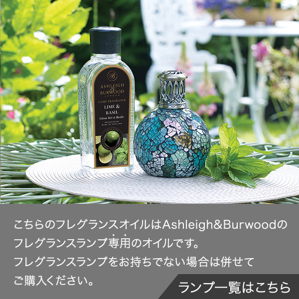 数量限定復刻！】Ashleigh&Burwood日本上陸15周年記念『限定