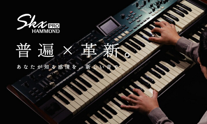 楽天市場】【送料無料】ARC EFFECTS 《アーク・エフェクツ》 KLONE V3