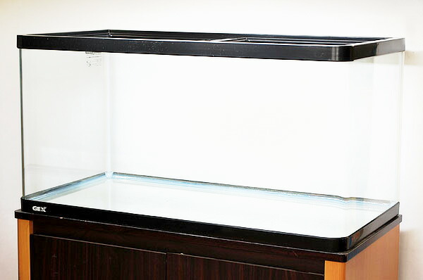 楽天市場】GEX ラピレスRV90 LEDセット曲げガラス水槽 : Aquarium Zenith