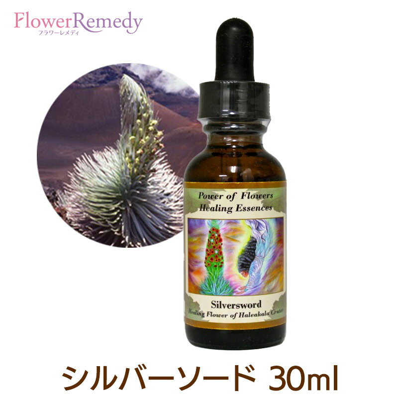 楽天市場】【お買い物マラソン最大2222円割引クーポン配布中】DNA