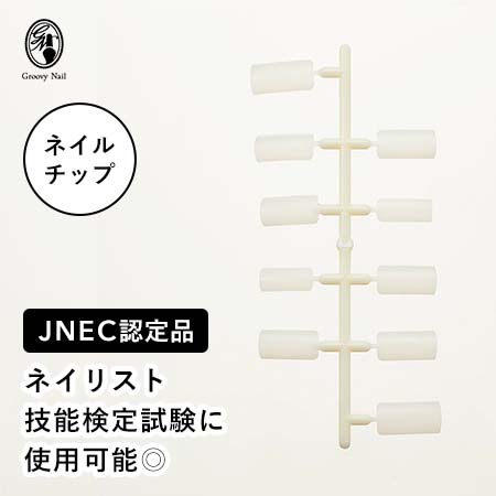 楽天市場】◇JNEC認定 STモデルハンド 右手 チップ差込式(ネイルチップ