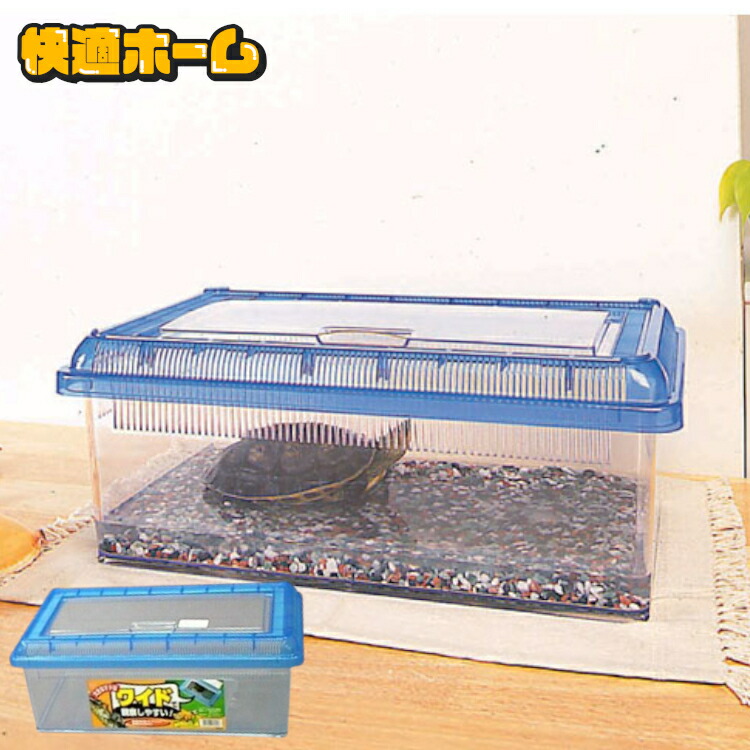 楽天市場】虫かご 虫篭 虫籠 飼育ケース 昆虫 虫かご 飼育ランド